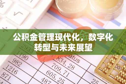 尚义公积金管理现代化，数字化转型与未来展望