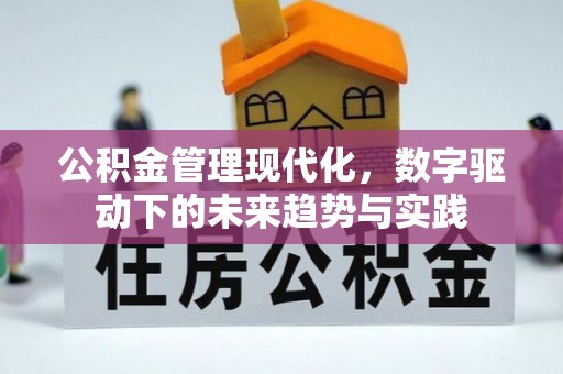 尚义公积金管理现代化，数字驱动下的未来趋势与实践