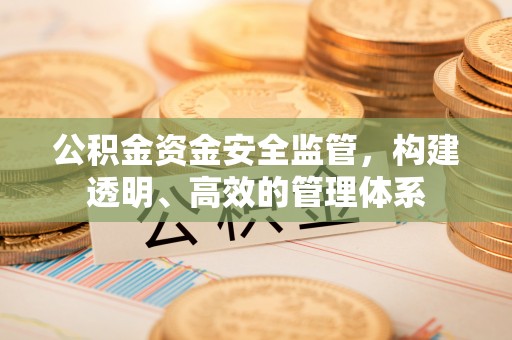 尚义公积金资金安全监管，构建透明、高效的管理体系