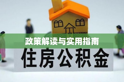 尚义政策解读与实用指南