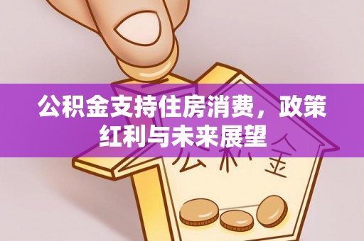 尚义公积金支持住房消费，政策红利与未来展望