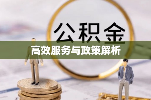 尚义高效服务与政策解析