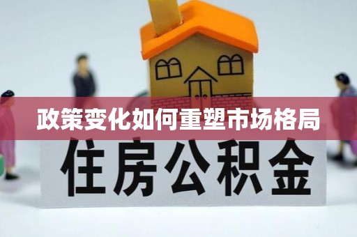 尚义政策变化如何重塑市场格局