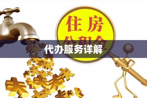 尚义代办服务详解