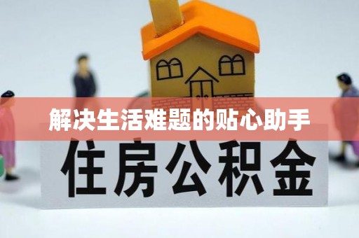 尚义解决生活难题的贴心助手