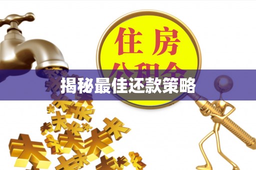 尚义揭秘最佳还款策略