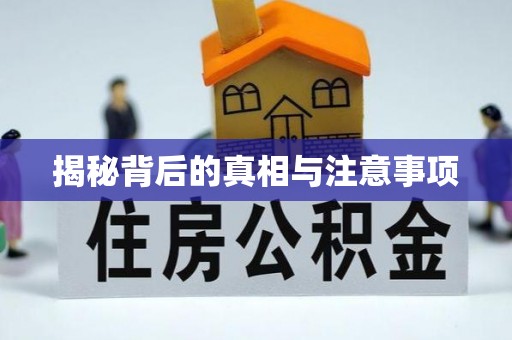 尚义揭秘背后的真相与注意事项