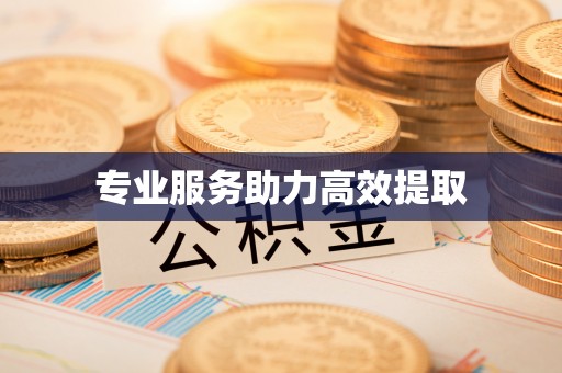 尚义专业服务助力高效提取