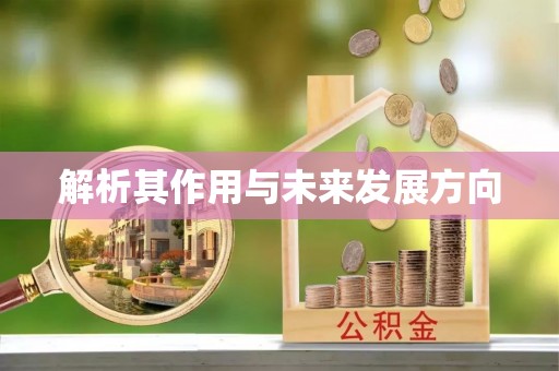 尚义解析其作用与未来发展方向