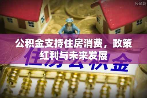 尚义公积金支持住房消费，政策红利与未来发展